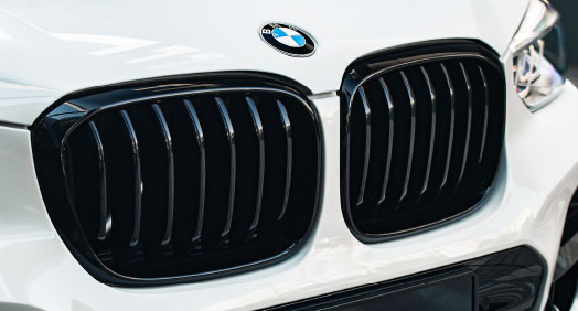 BMW Front Ornamental Grille, High-Gloss Black